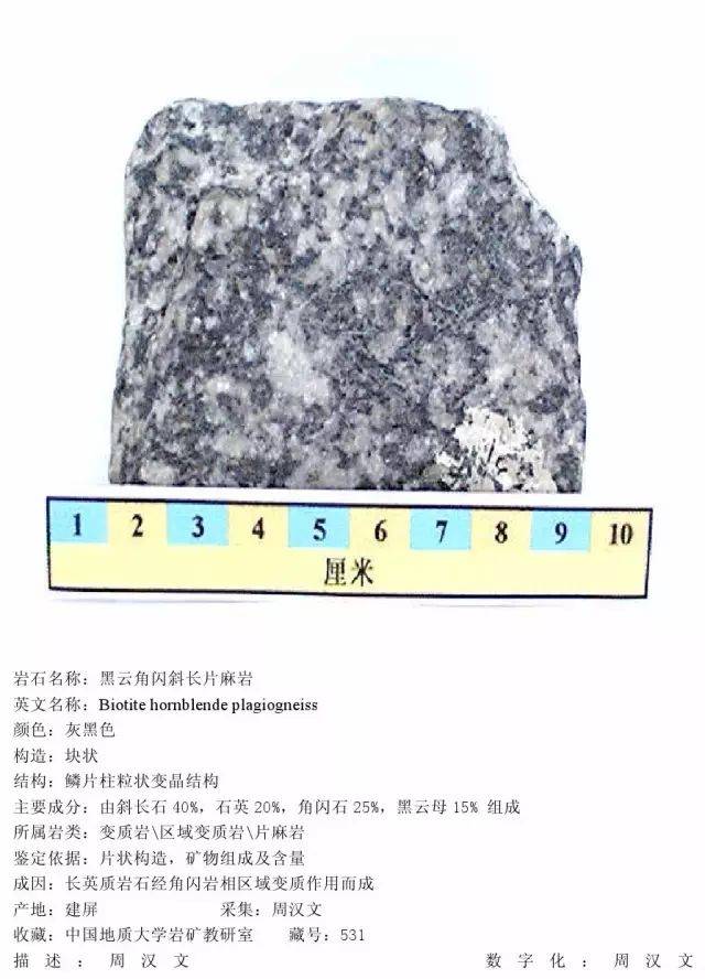 麻粒岩,角山岩,榴辉岩(8) 白云磁铁矿钾长变粒岩