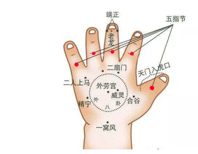 五指节的准确位置图片图片