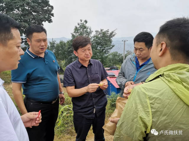 杨书立一行,首先围绕中牟,范里双方前期对接达成的初步帮扶方向,带领