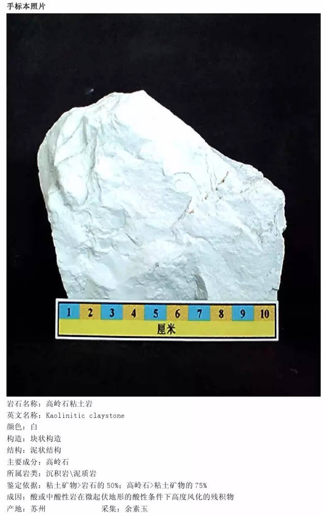 (二)泥质岩(3) 高岭石粘土岩  (三)自生沉积岩(40) 1.碳酸盐岩(31) 1.