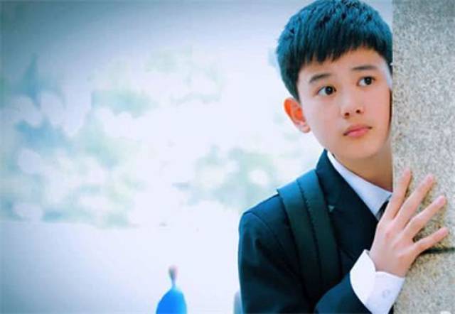 提到胡先煦,2011年正式出道的他,在2016年黄磊等人主演的《小别离》中