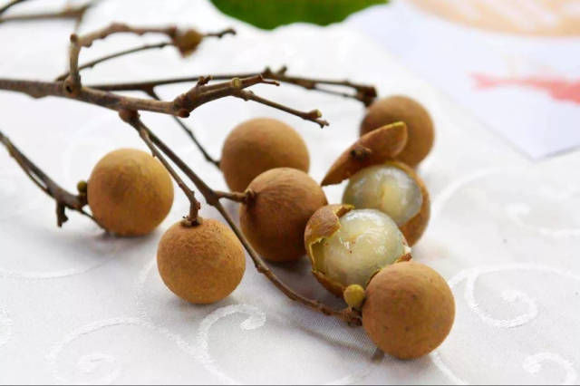 话说这青山龙眼的特点还是很突出的 晚熟,核小,质脆,单果大,味甜