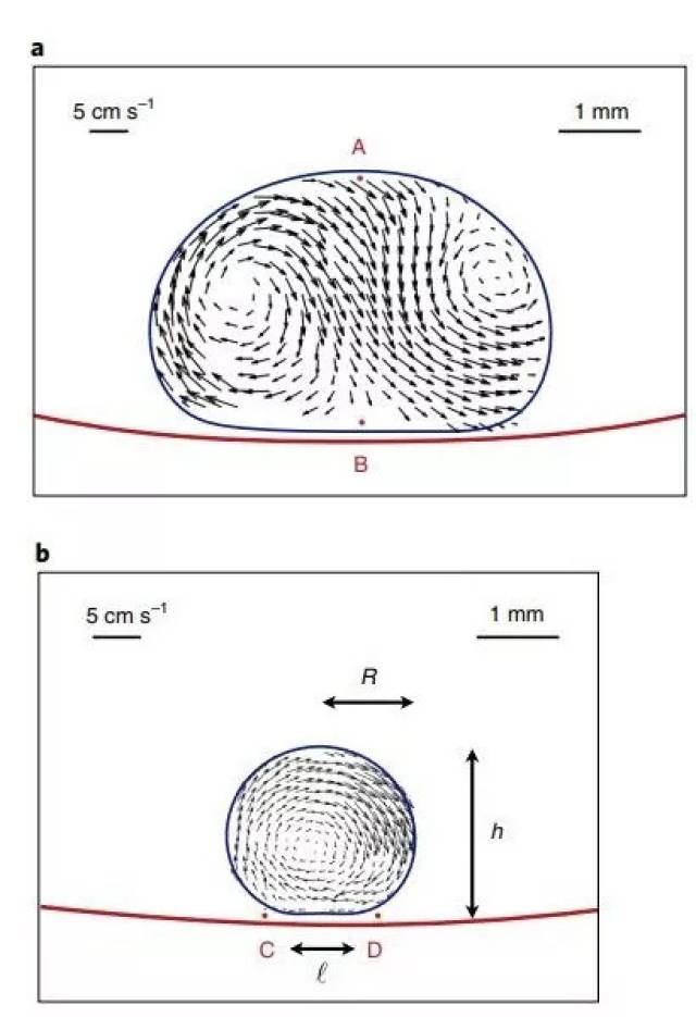 在灼热的平面上,小水滴变成了"液体小轮子"