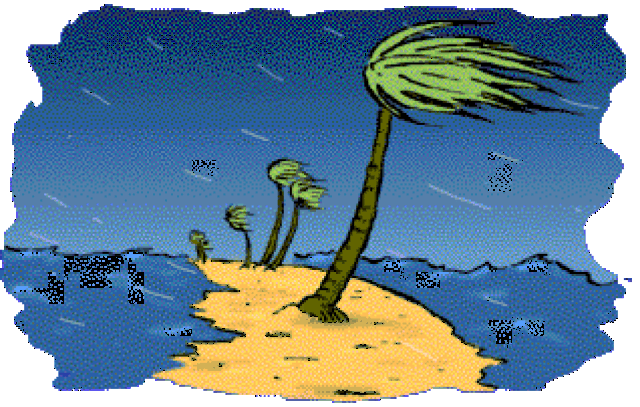 318_202gif 动态图 动图