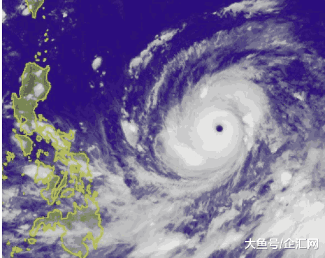 站在台风口猪都能飞, 山竹真来了, 互联网企业