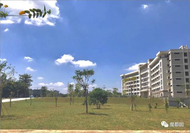 台风山竹已到!停课停工停产!妖风鬼哭狼嚎!大家