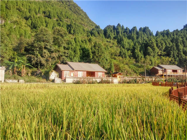 黔西南州义龙试验区德卧镇阿油槽"生态田园家"开门迎客