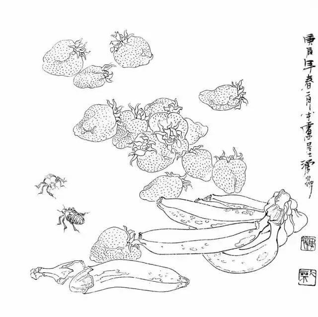 白描果蔬,很实用的白描绘画!赞一个!