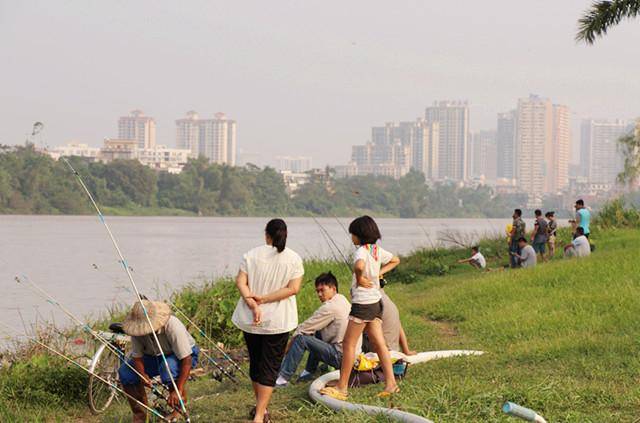 在水庫釣鯽鯉草魚使用南瓜做餌料魚兒們都吃瘋了