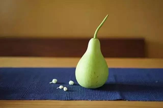 顾景舟晚年改制陈曼生之匏瓜