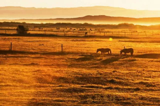 四丫头|倒立生活