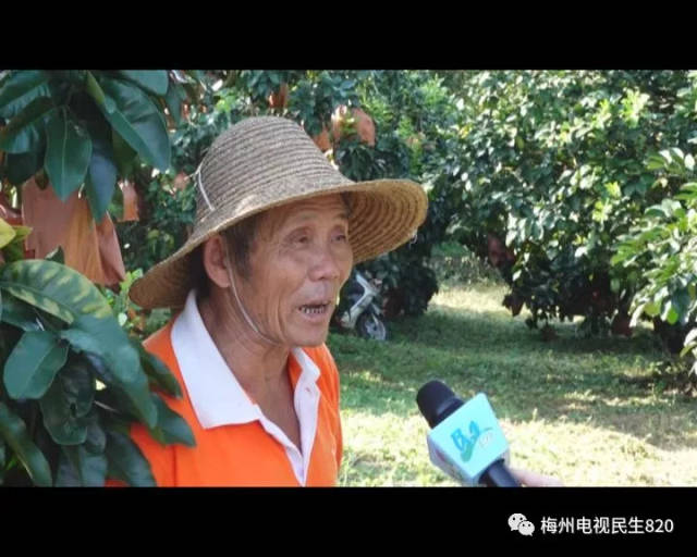 这是梅州第一网红,农民丰收节前给霸屏了,没有一个梅州人会不知道