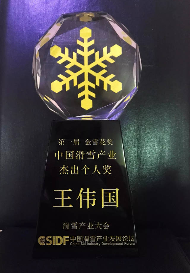 中国滑雪产业杰出个人奖