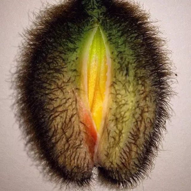 在暗示生殖器的照片里重新正视对性别性征的认知