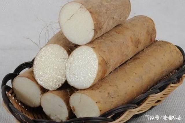 山药是什么 山药是什么样子的图片