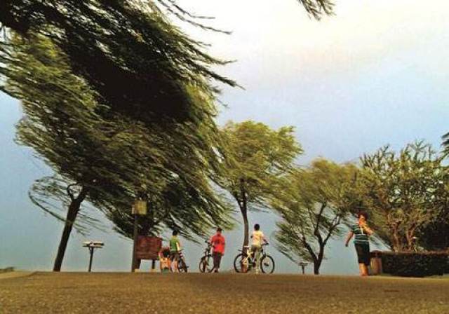 夏季,内陆形成低气压,多东南风,东风和南风.东风湿,南风暖.