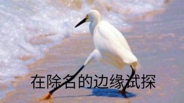 一场山竹台风吹醒了广东千百万段子手