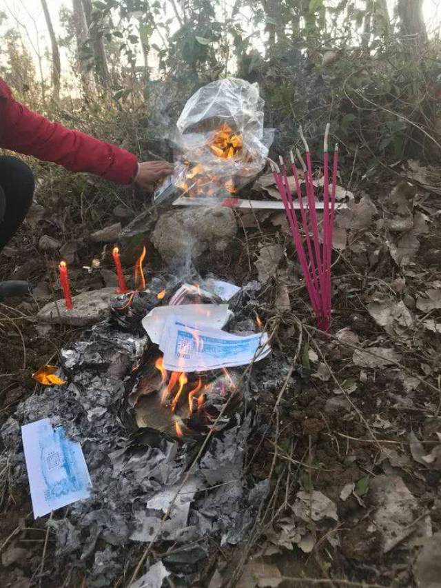 爱犬被车撞死,主人为其建坟烧纸,但网友的评论却让人"心寒"