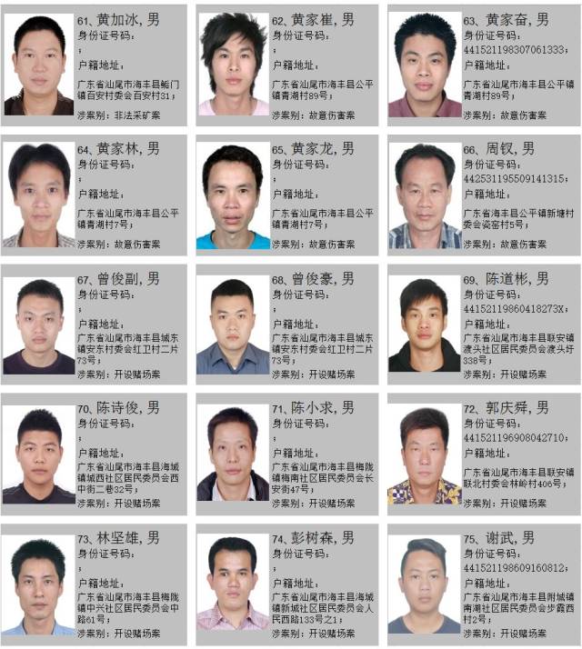 海丰公安通缉100名逃犯,最高奖励20万元!