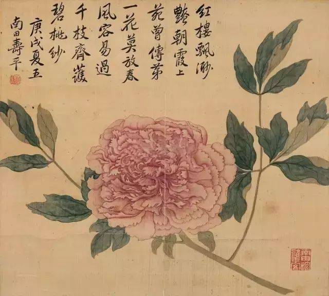 明★ 惲 寿平 花卉扇面 原寸★ 故宮博物院 二玄社 中国 扇面画 古玩 清惲壽平扇面畫冊冊叢艷圖- 故宮