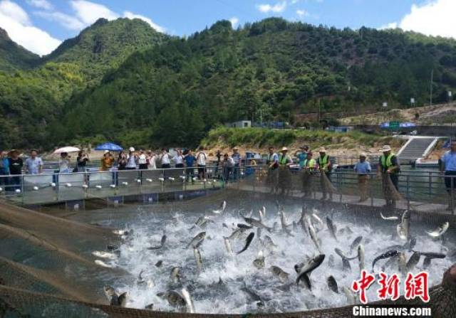 在青田北山鎮千峽湖畔,農家樂