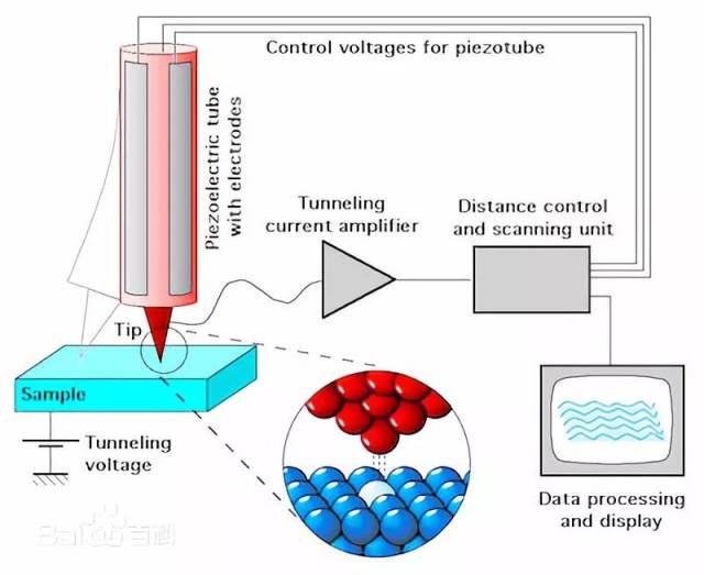 扫描隧道显微镜工作原理