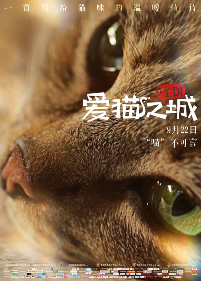 《爱猫之城》全国上映 萌猫带你踏上中秋治愈之旅