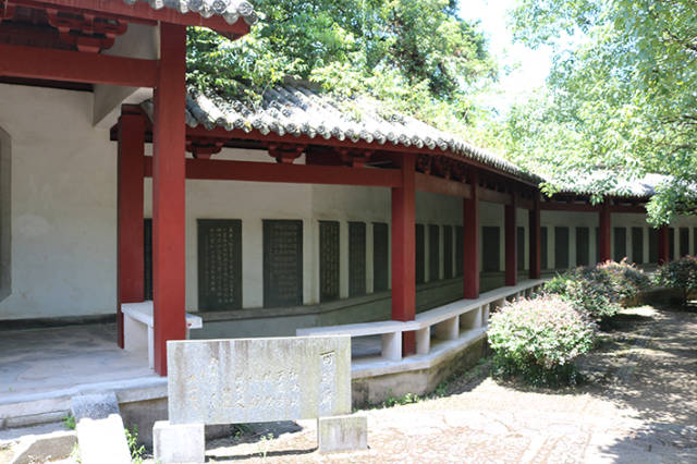 七百年医道不朽——大国医朱丹溪