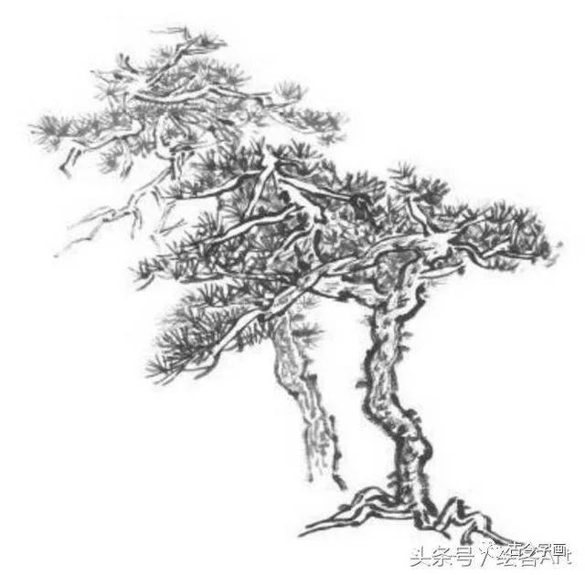 国画丨近取枝，远取势，美意画境之松树的画法_针叶法