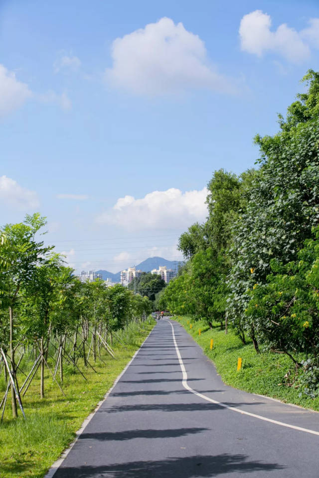 大學城,高新區,深圳灣 沿線有大沖公園,九祥嶺溼地公園, 西麗水庫