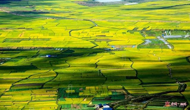 会泽娜姑坝子秋日的田园风光【组图】