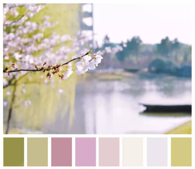 江南色卡|那潋滟了时光的美好,一点点解析给你看!