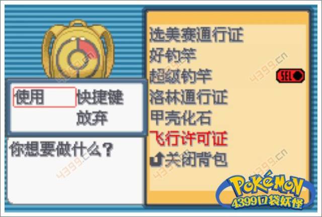 口袋妖怪白金光二周目攻略2 格斗系道馆