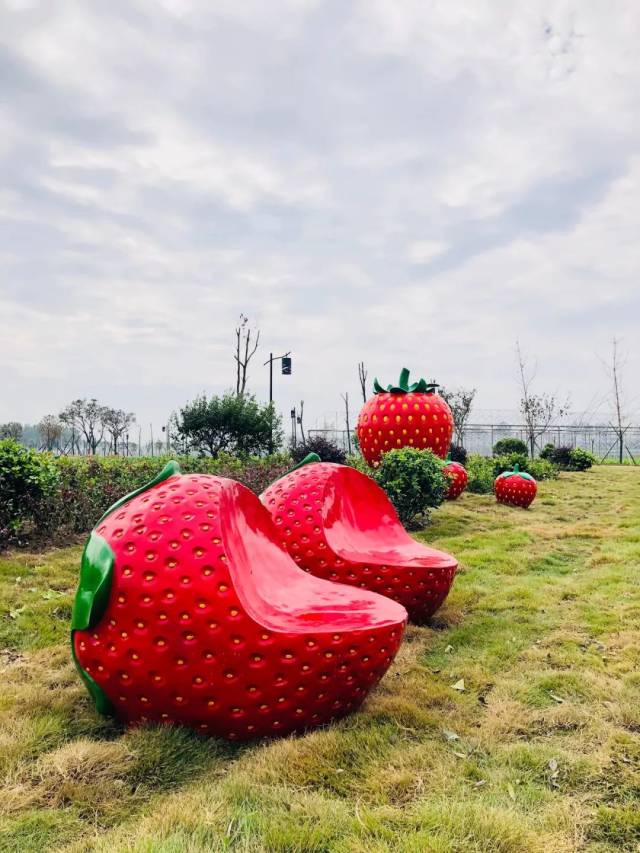 鞍山草莓小镇图片
