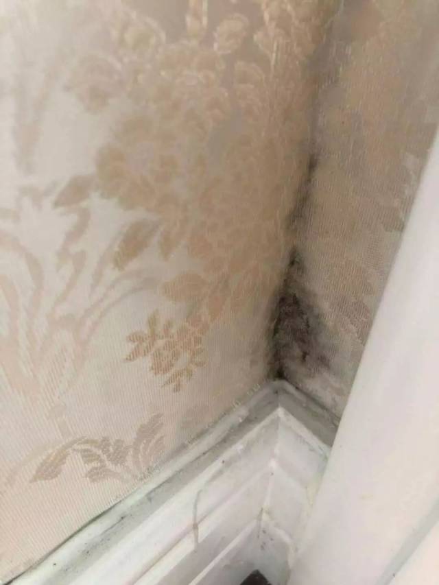 【杰宸培训】科普壁布施工禁止行为