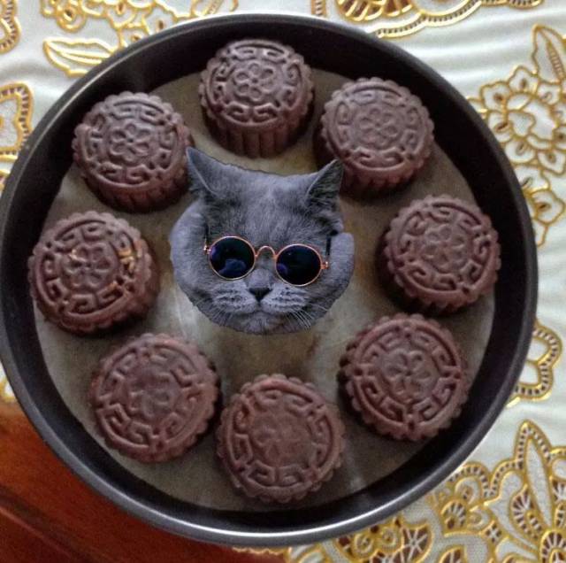 这个中秋有猫饼吃啦
