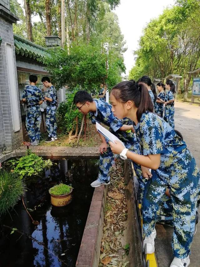 识遍中草药争当小药师我校与东莞市德育基地合作开展中草药研学活动