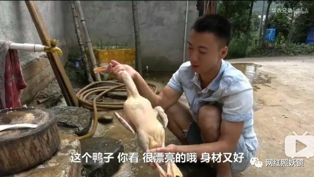 江西小哥竹鼠的1000种吃法都比不过这些生吃