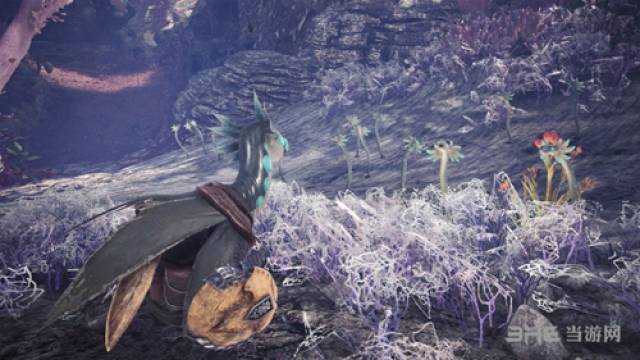 怪物猎人世界本体有多少只怪 怪物猎人世界有多少怪物怪物种类及怪物数量介绍攻略 简明教程