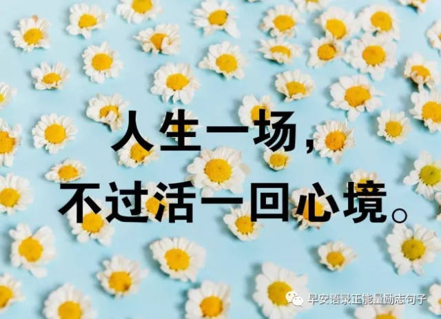 微信人生哲理语句,感悟人生的经典短语