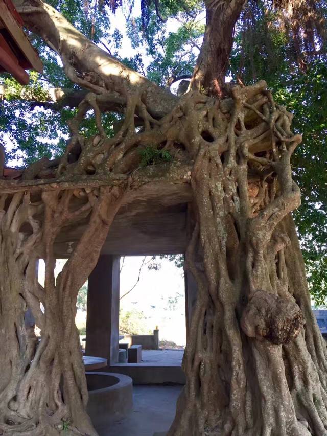 《 磨石村手札》