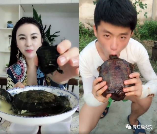 江西小哥竹鼠的1000种吃法都比不过这些生吃