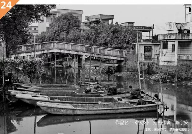 麻涌这些珍贵照片,你见过几张?(含现金券福利)