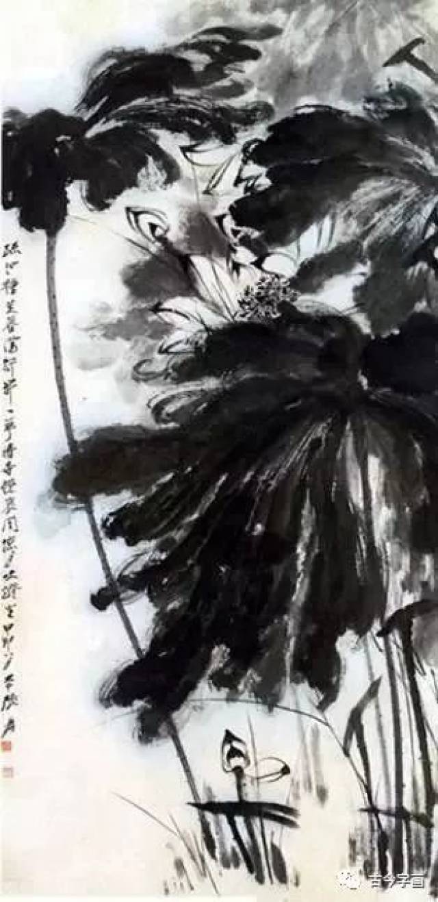 张大千画荷_搜狐网