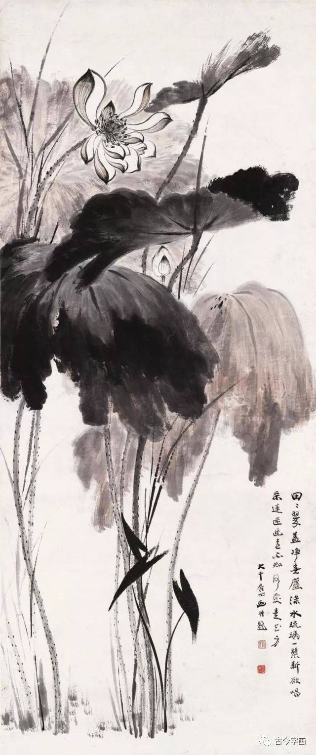 张大千画荷_荷花