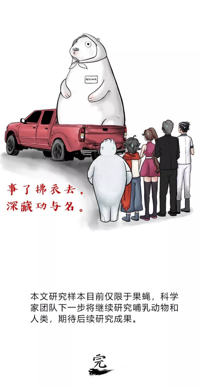 颠覆三观,我居然被一群脂肪细胞拯救了!