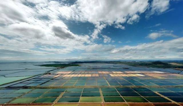 盐场 用时长5分多钟的直播 探秘一粒海盐的诞生历程 在大中国的秋收