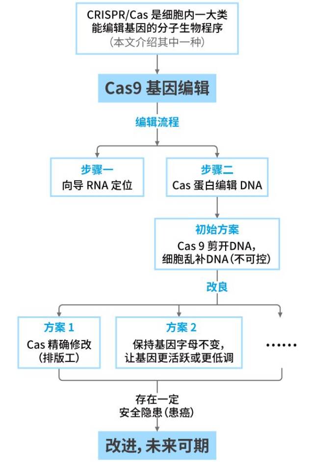 基因治疗流程图图片