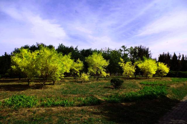 閒走北京之西會公園-郊野公園(朝陽區)