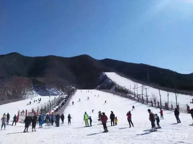 >>>  西部长青"滑雪"   